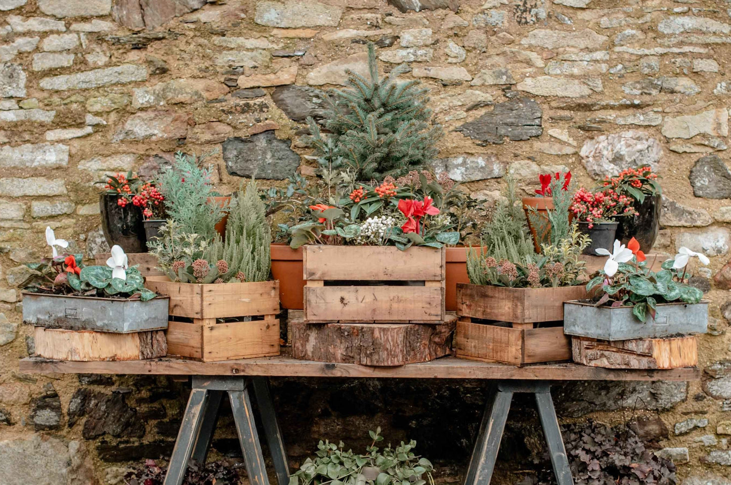 Festive Afternoon Tea - Tue 12th Dec 2023
