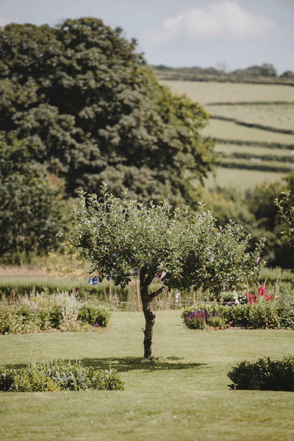 Tuesday Lunch Club 12th May