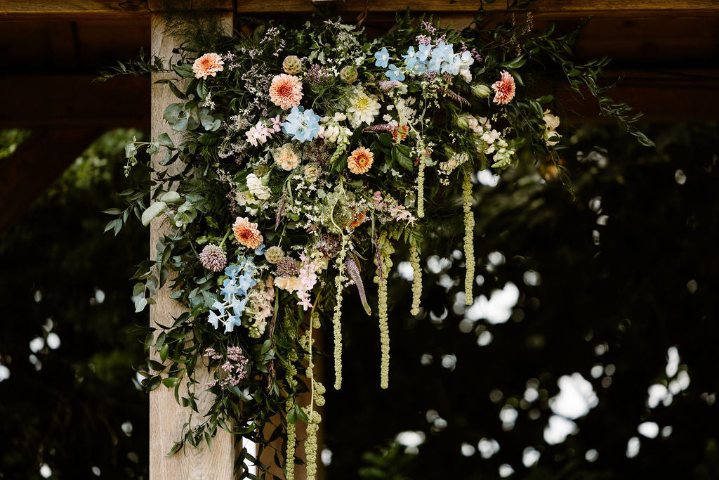 Beautiful Blooms
