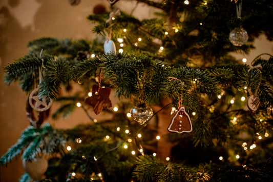 Festive Lunch Tue - 12th Dec 2023